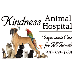 Kindness Animal Hospital - Durango, CO 81303-8180 - (970)259-3788 | ShowMeLocal.com