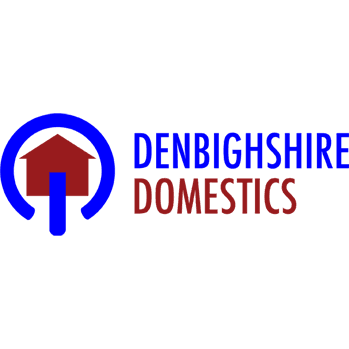Denbighshire Domestics Logo