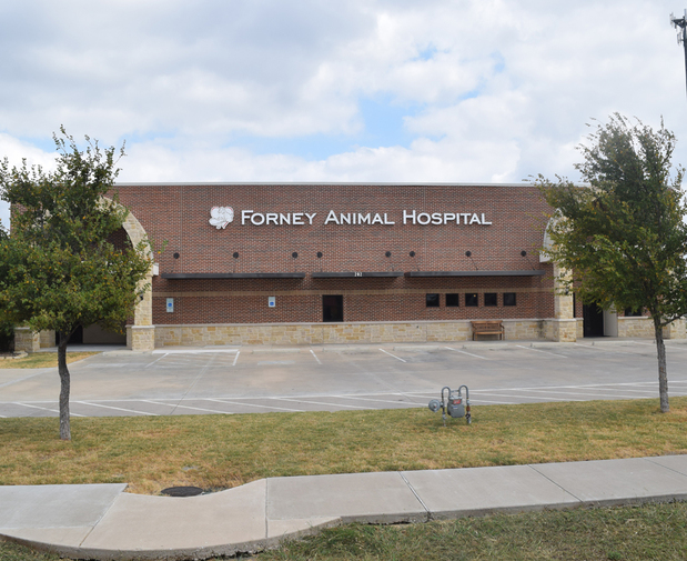 Images VCA Forney Animal Hospital