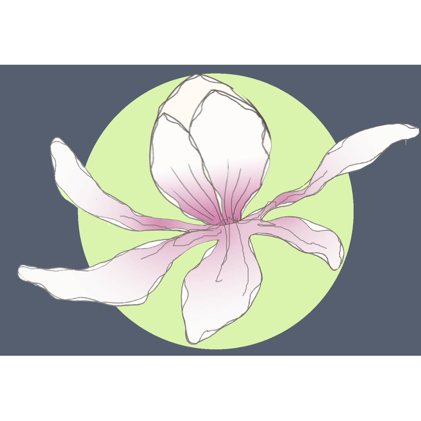 Magnolia lebendige Gärten Logo