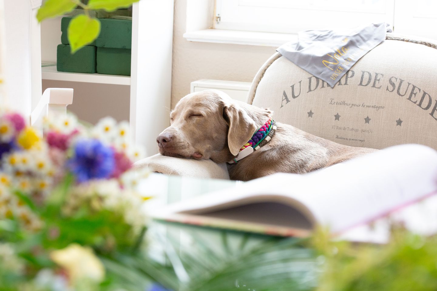 Bestattungshaus Tränendes Herz, Am Gleisdreieck 16 in Brandenburg an der Havel