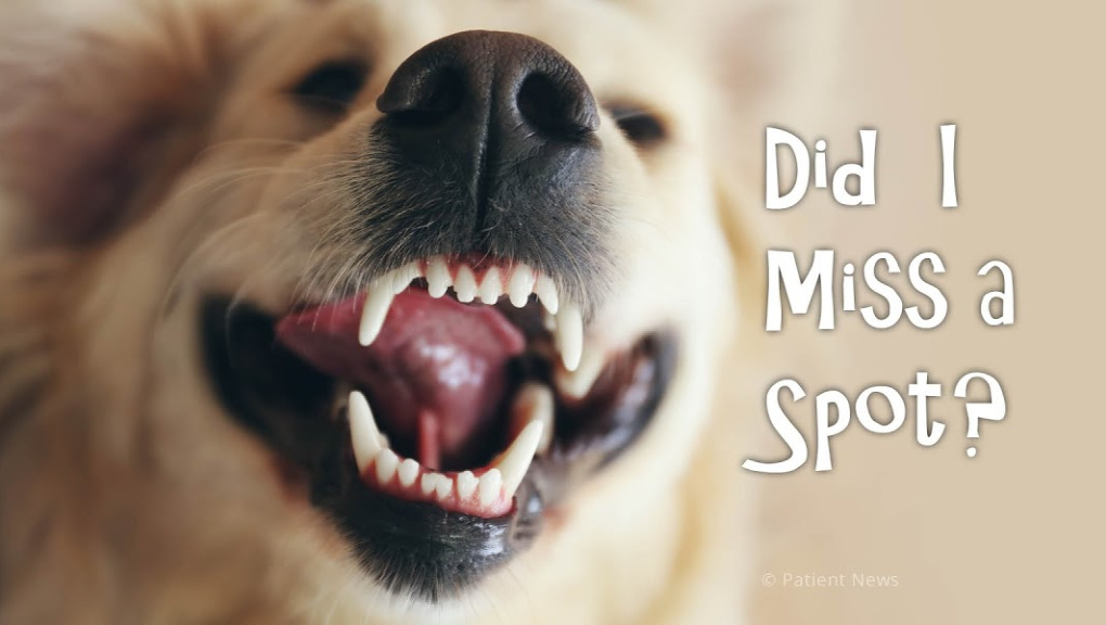 Images Markham 7 Dental