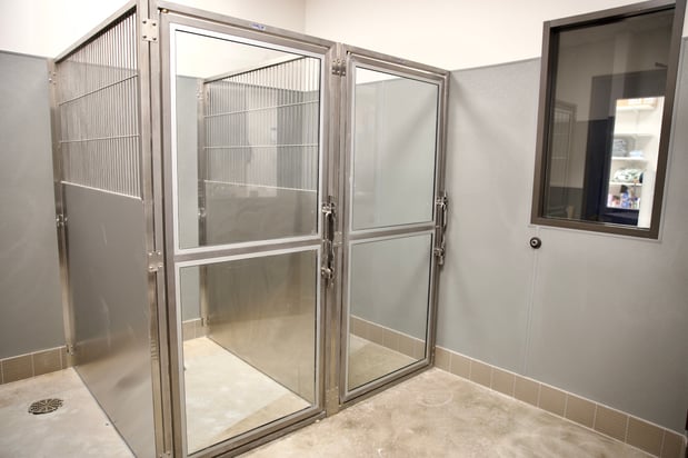 Images VetExpress Animal Urgent Care