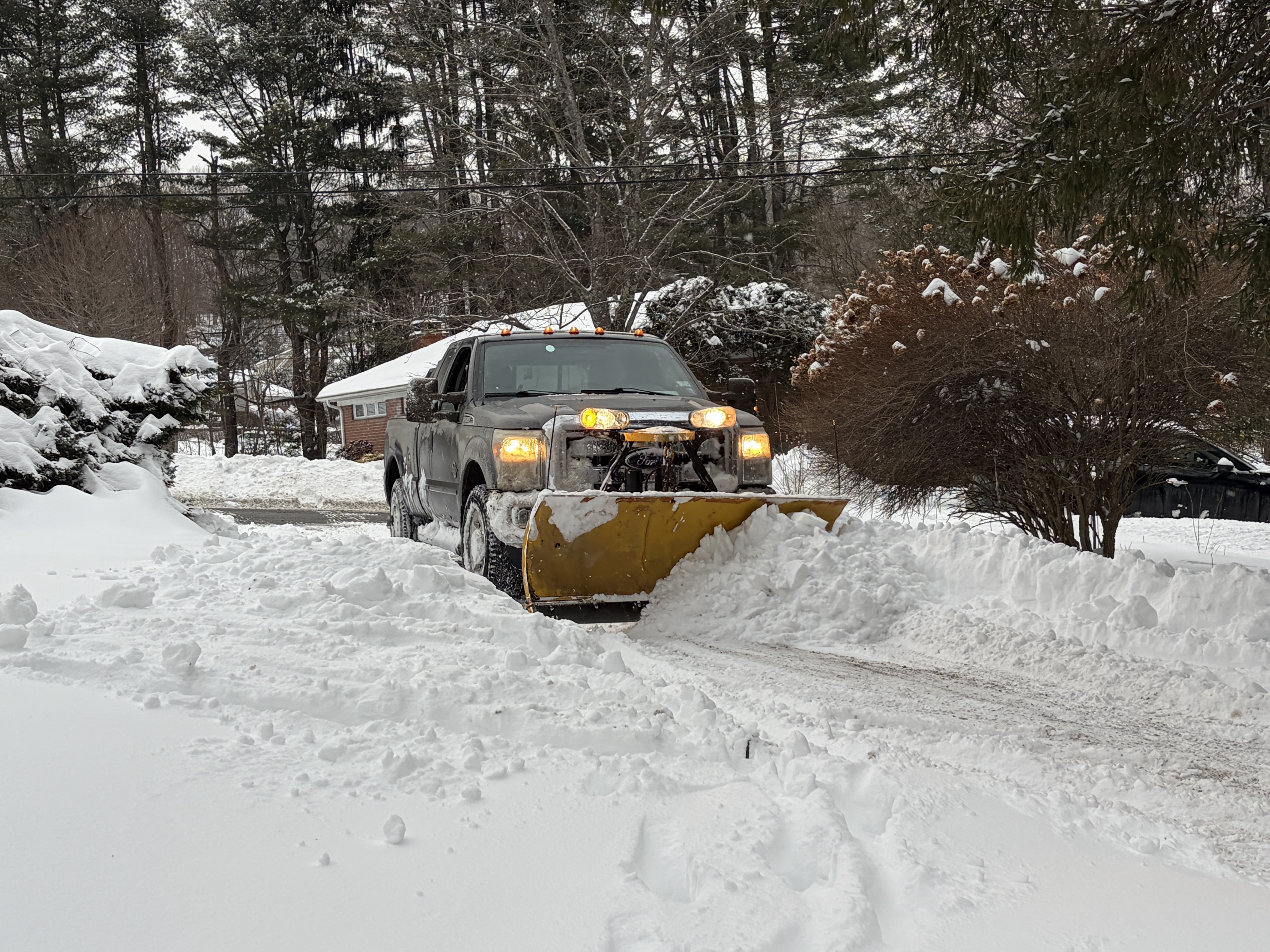 Paredes Landscaping Image