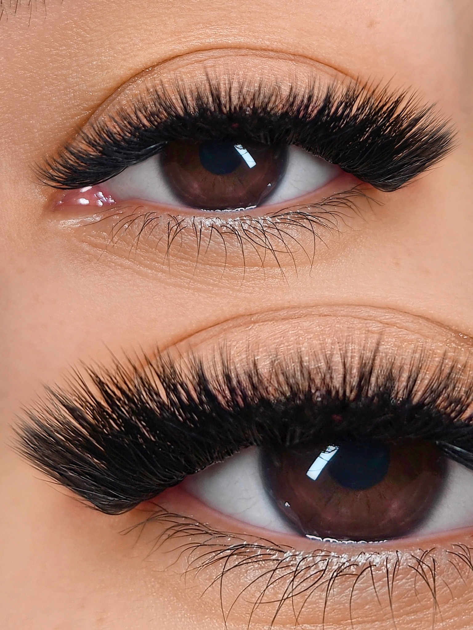 Images Lashista - Formation cils - Pose de cils - Produits de cils Longueuil