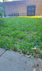 Images Ultra Plus Service