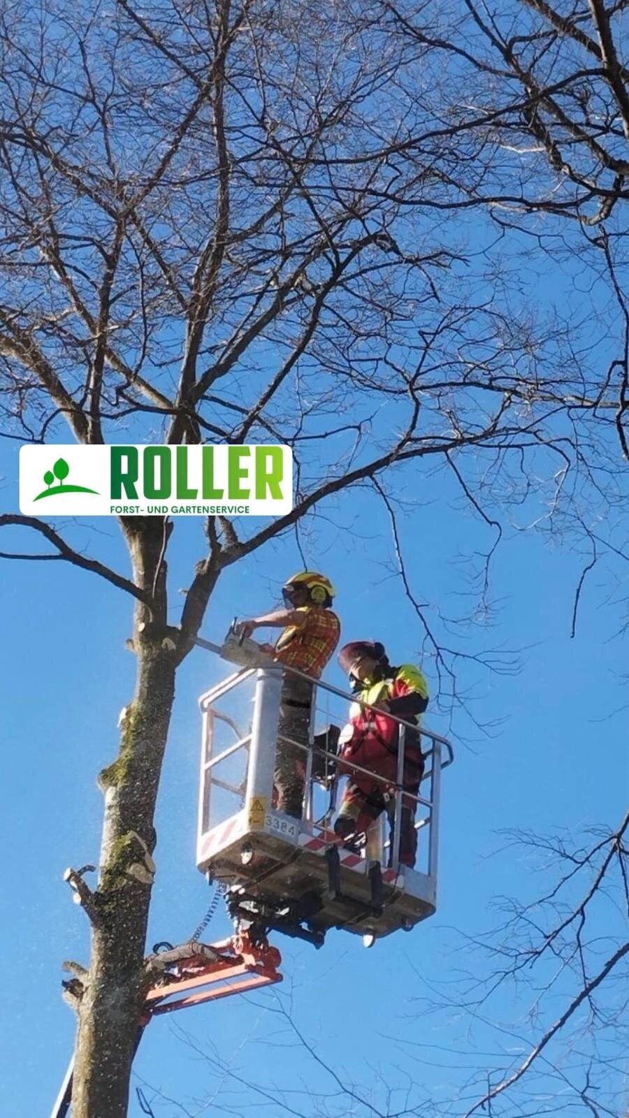 Bilder Forst- und Gartenservice Roller