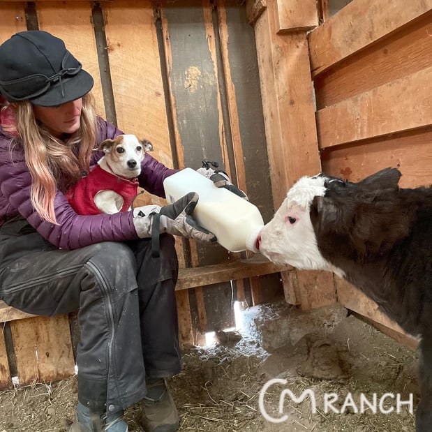 Images CM Ranch