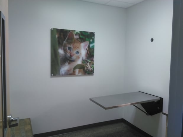 Images Vetco Total Care Animal Hospital
