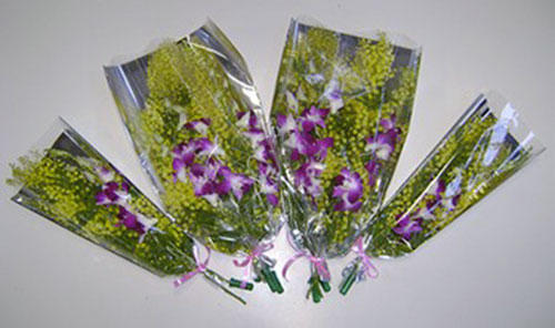 Images 3 Ponti Società Cooperativa Agricola