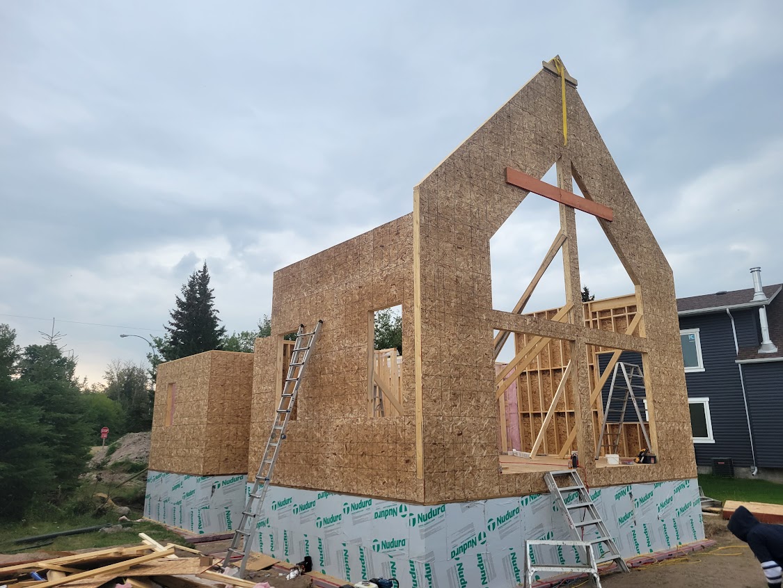 Images The Blue Spruce Builder