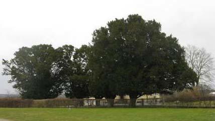 Images Österslövs Bygdegård