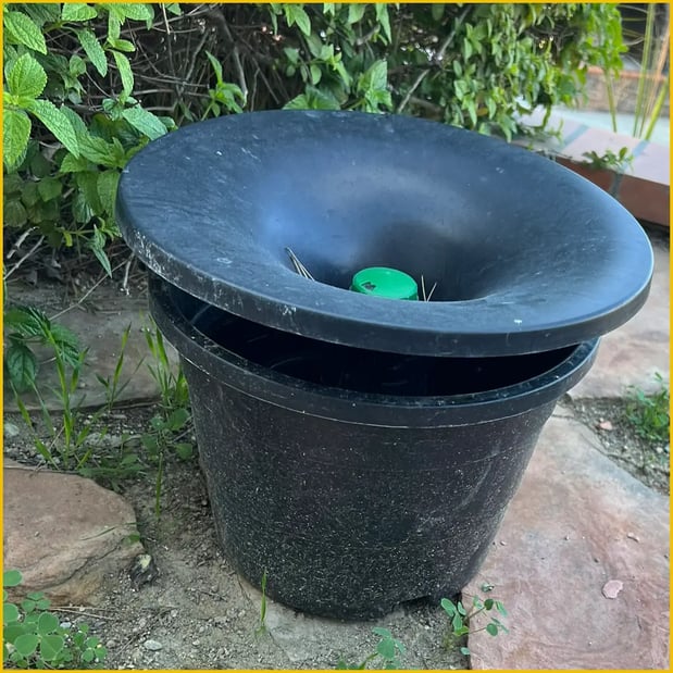 Images Browny Pest Control