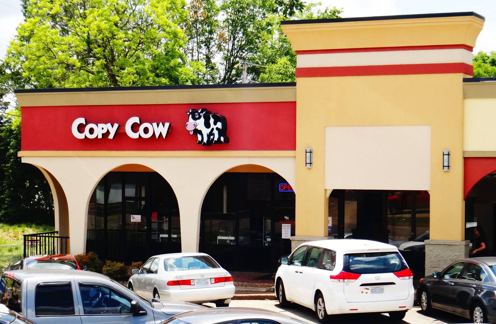 Copy Cow Photo