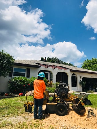 Images Troyer Tree Service