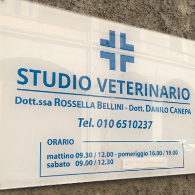 Images Studio Veterinario Dott.ssa Bellini Rossella