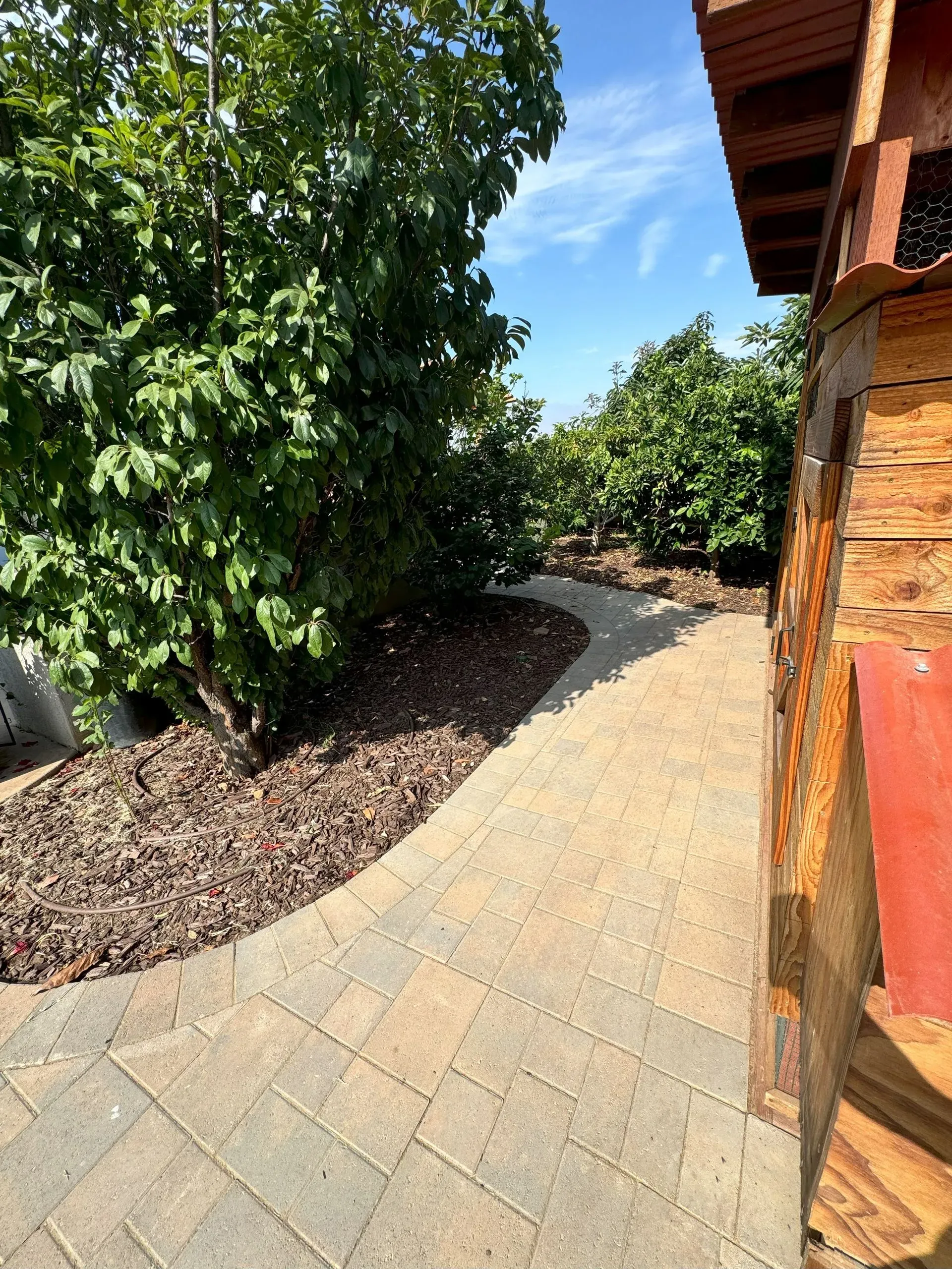 Dave Suda Landscape Image