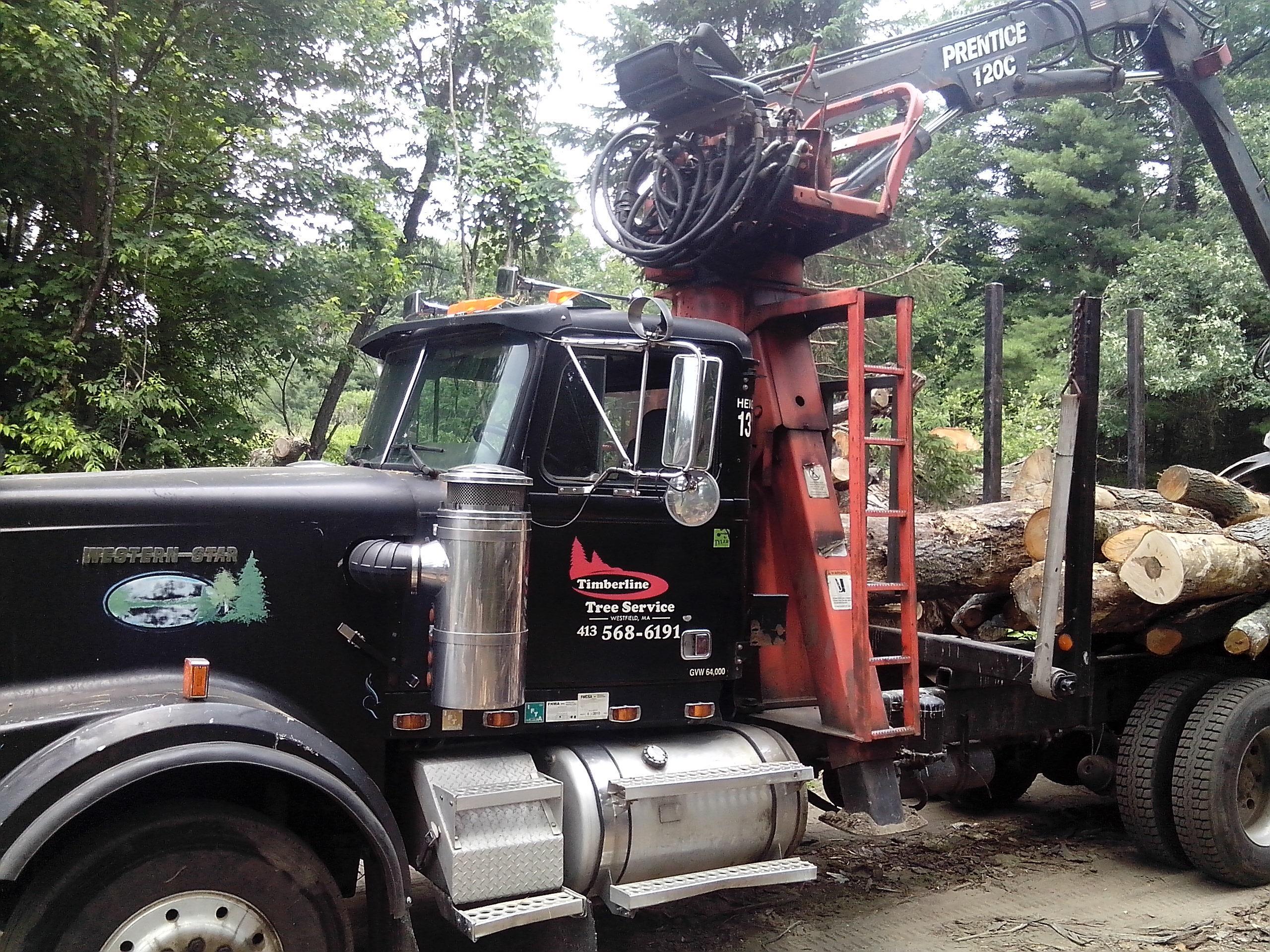 Timberline Tree Service