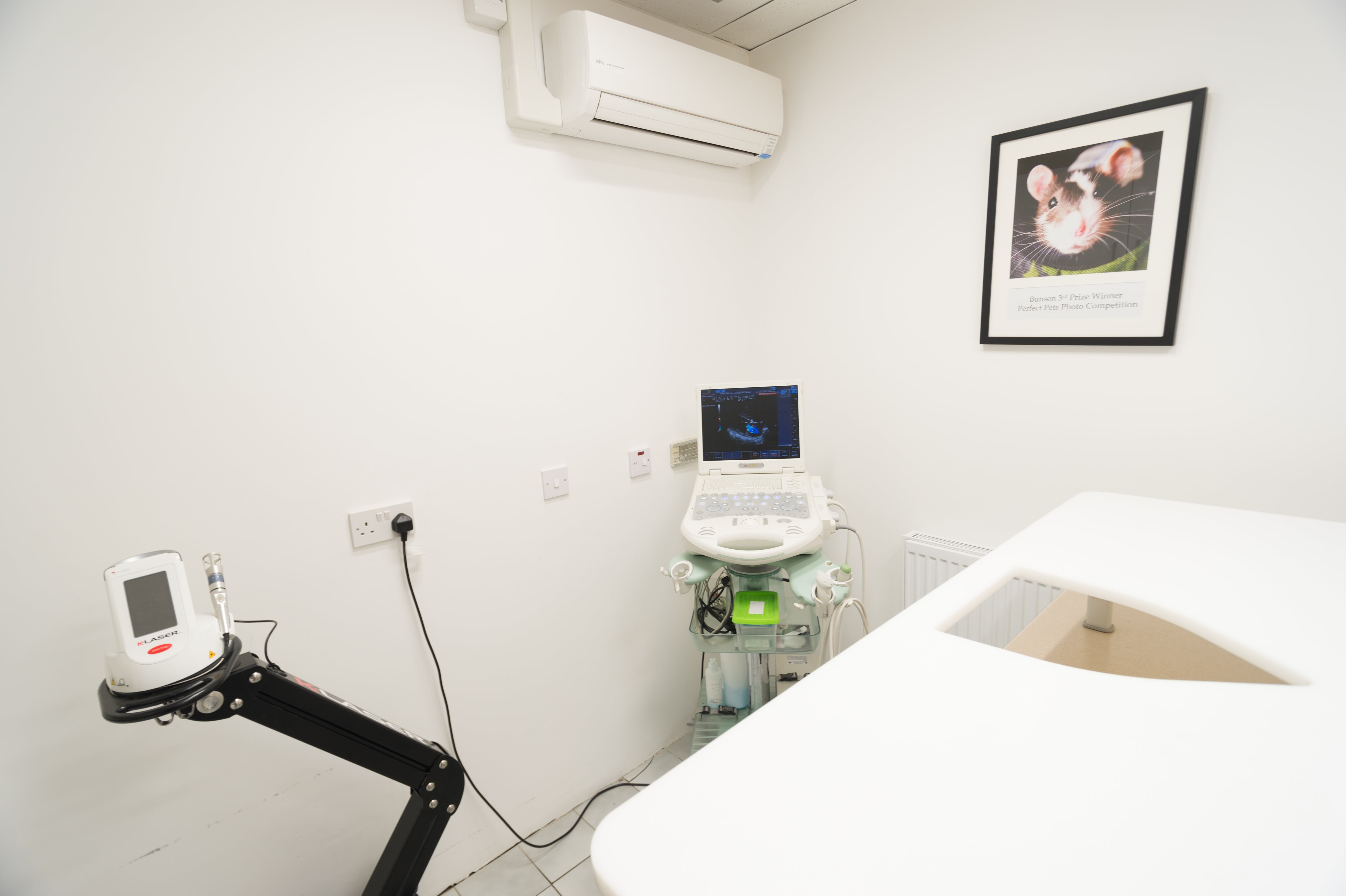 Images Streatham Hill Veterinary Surgery