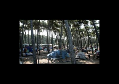 Images Camping Internazionale