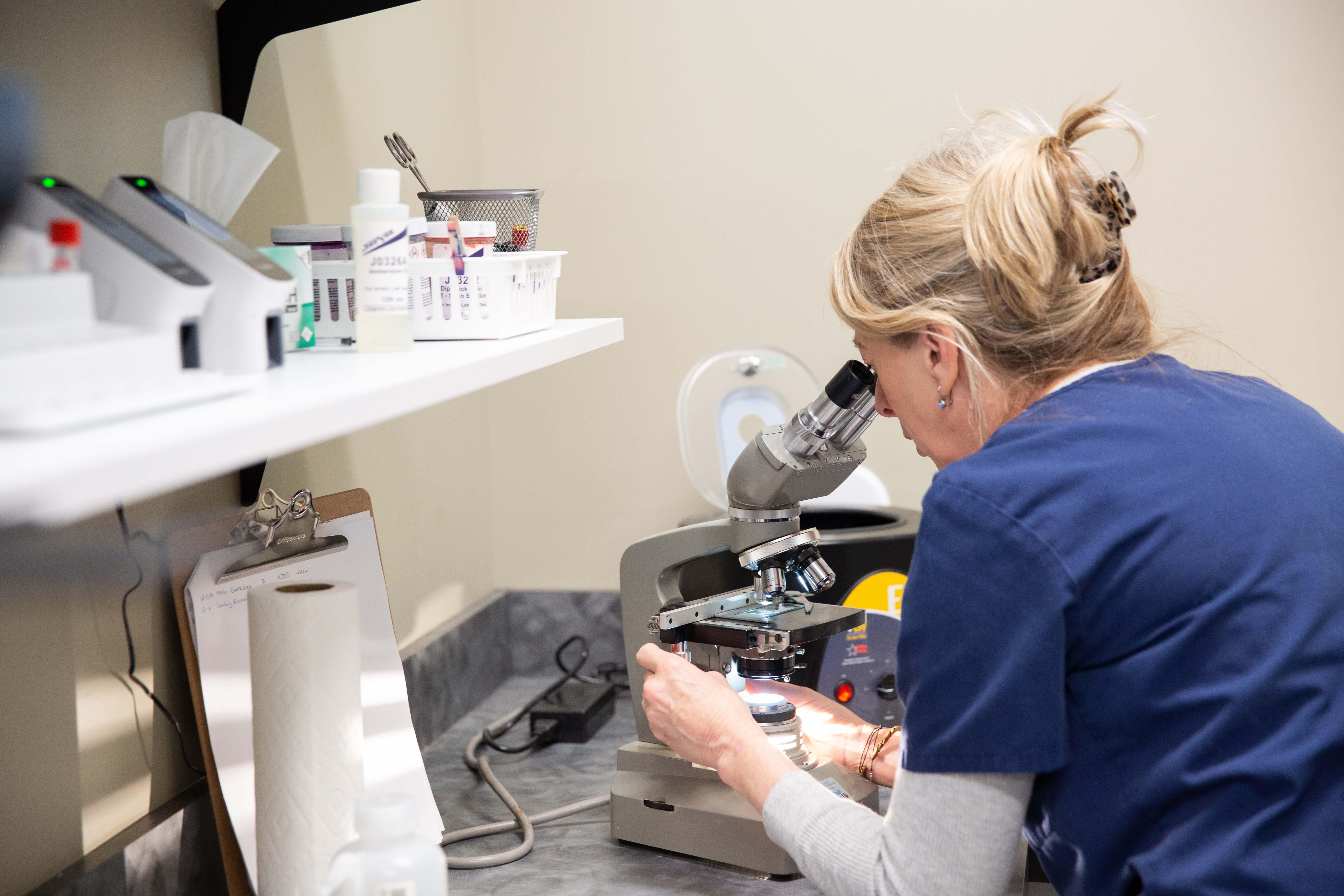 A veterinary technician examines a sample using a microscope in our on-site diagnostic laboratory.