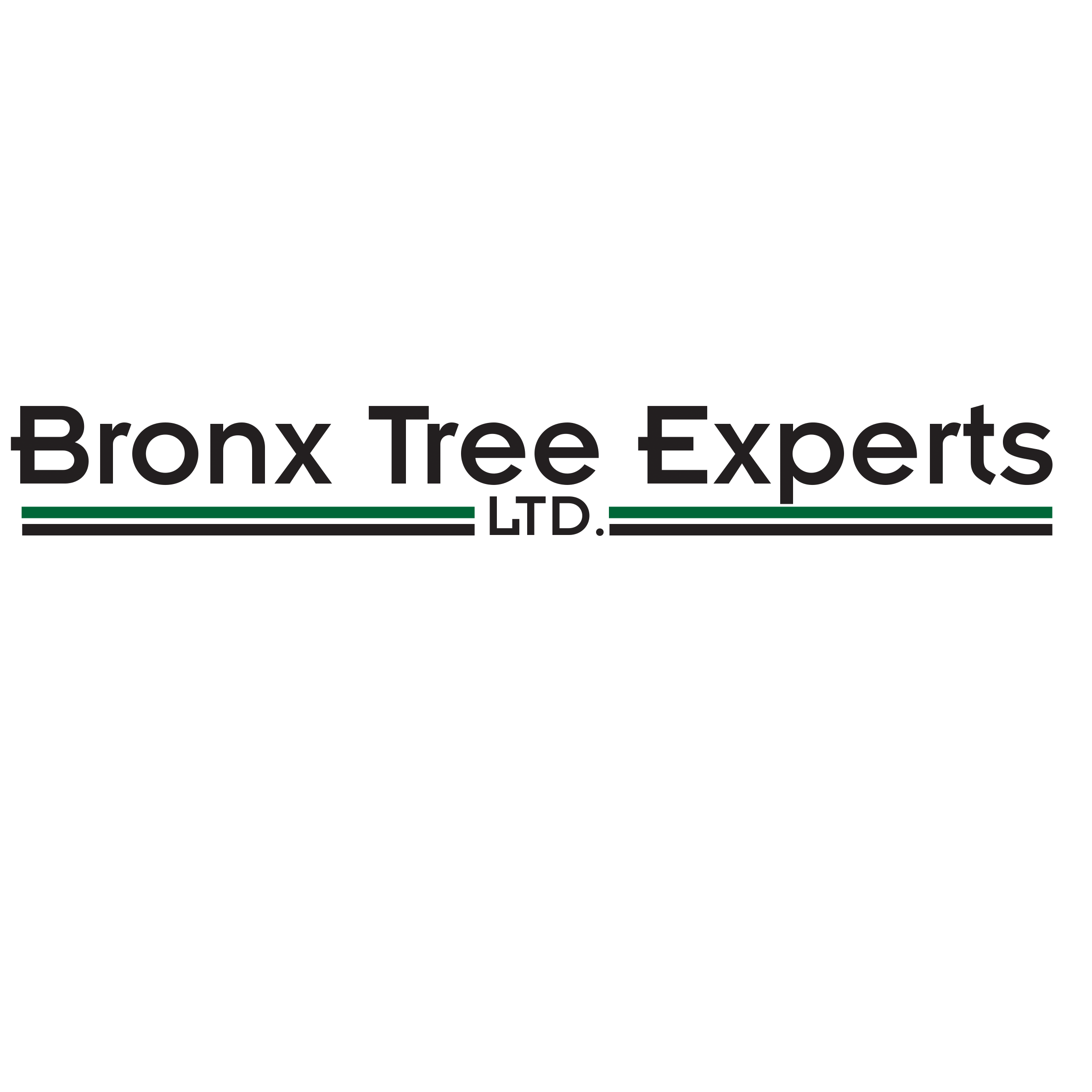 Bronx Tree Experts LTD