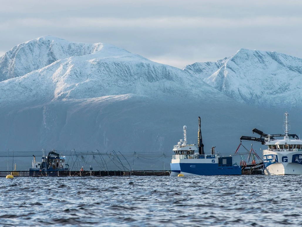 Images Gåsø Næringsutvikling AS