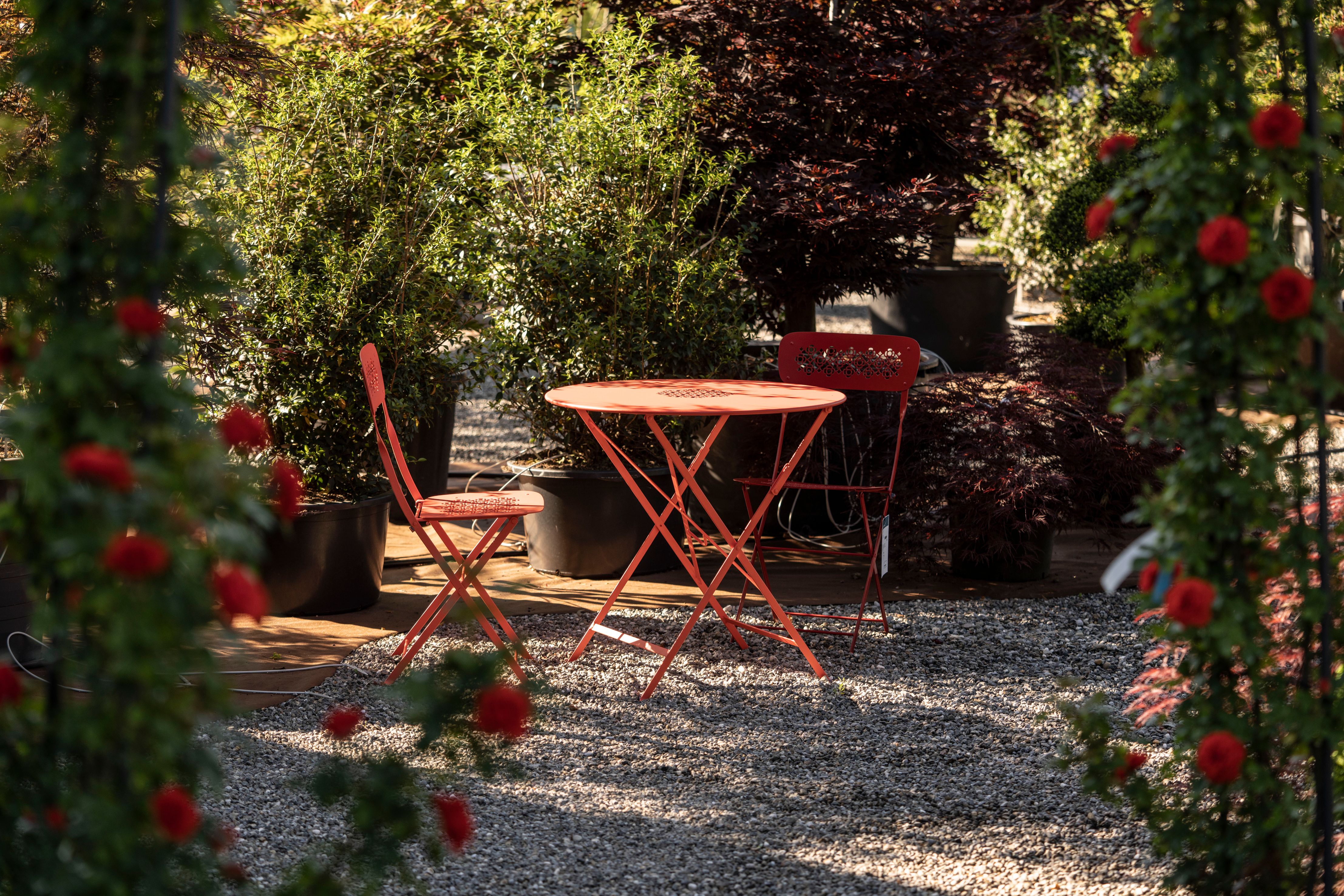 Bilder wüthrich pflanzen ag