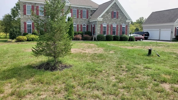 Images Liggio Landscape Solutions