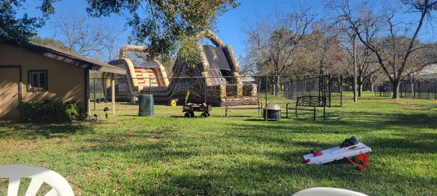 Images VCA Prestonwood Animal Hospital