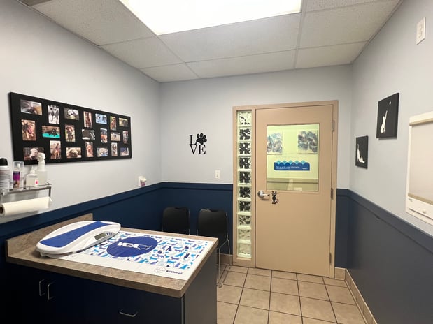 Images VCA New Kent Animal Hospital