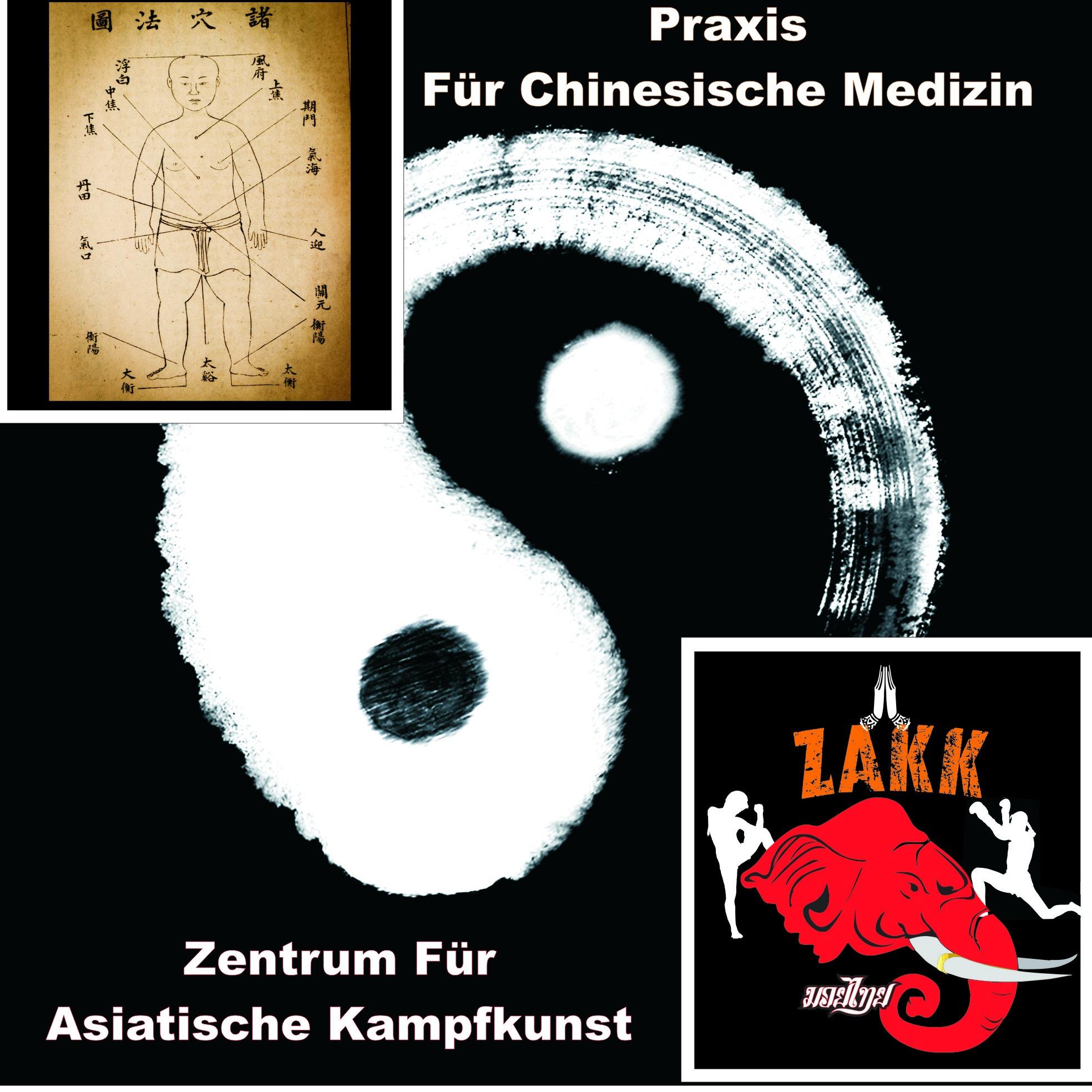Daniel Himmelreich Heilpraktiker, Praxis für Chinesische Medizin Logo
