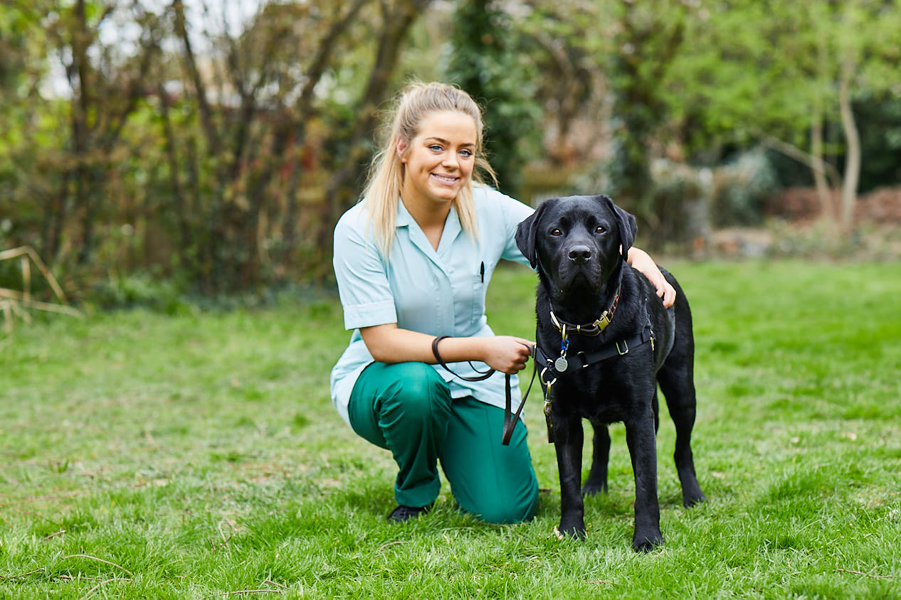 Broughton Veterinary Group, Leicester Leicester 01162 517677