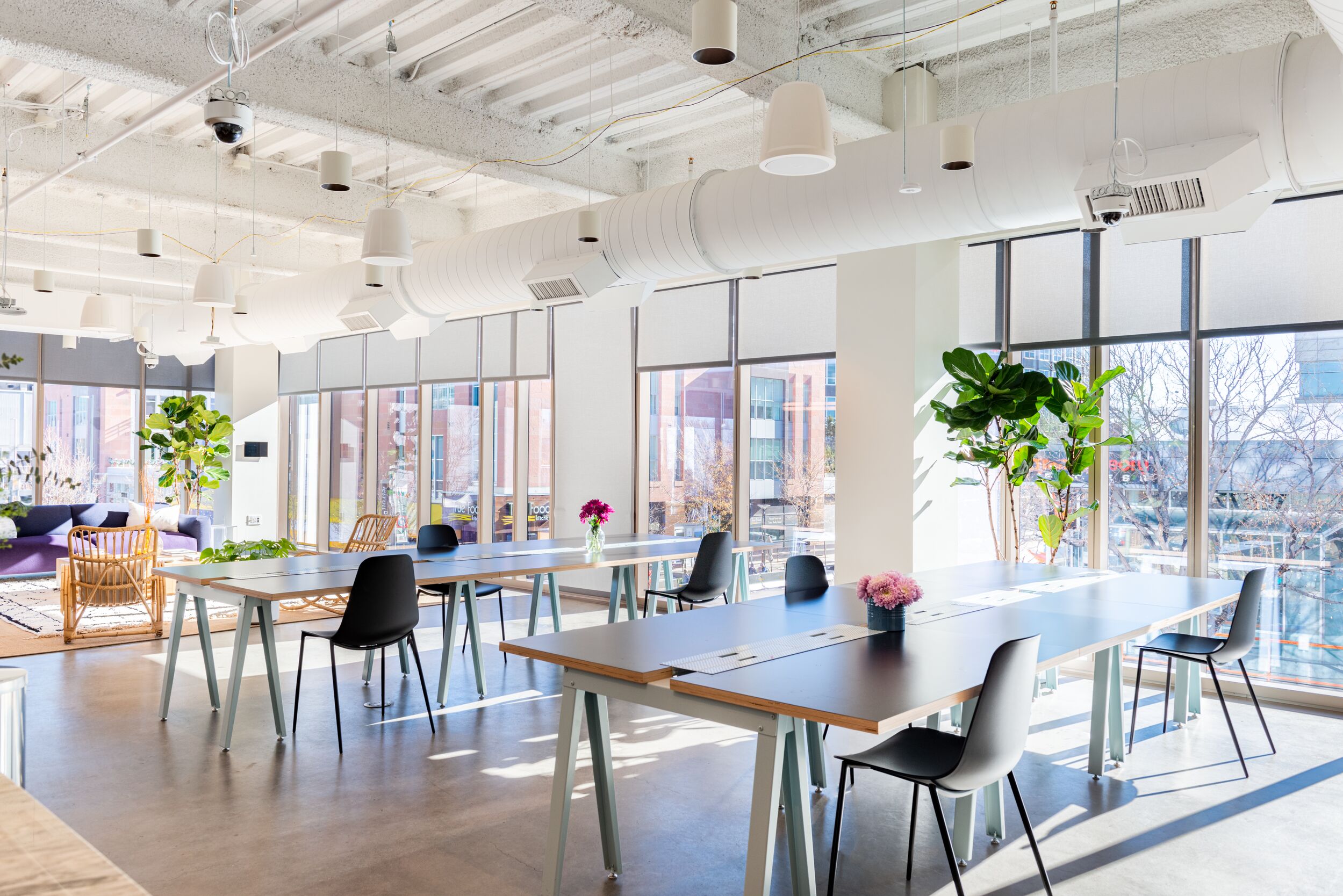 Hot Desk area