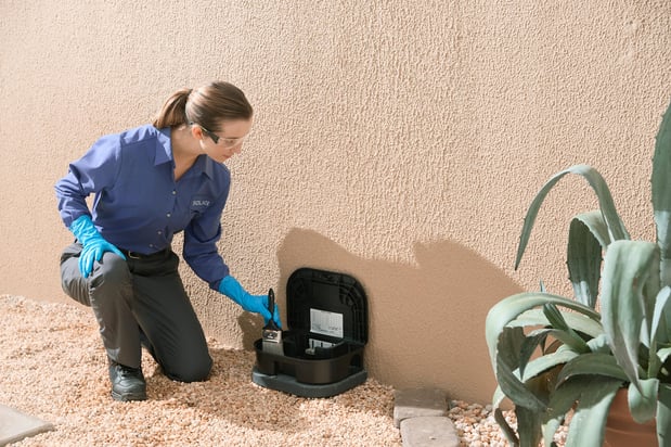 Images Las Vegas Pest Control