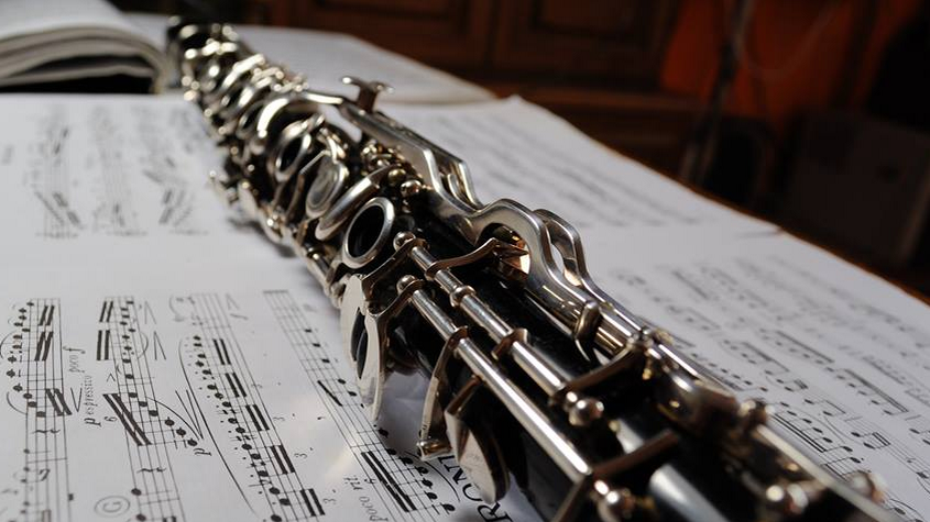 Klarinette lernen, Vossens Tannen 65 in Schwerin