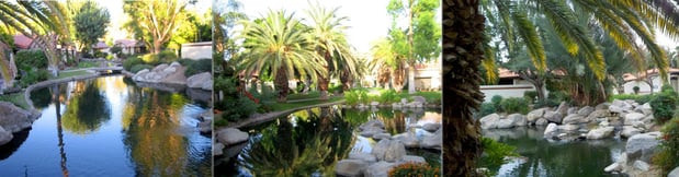 Images Pro Landscaping Inc