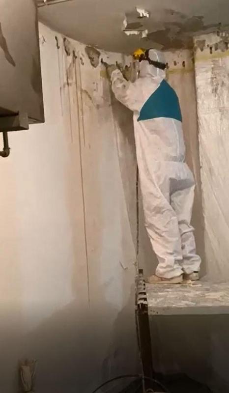 Images Frasson Raimondo Srl