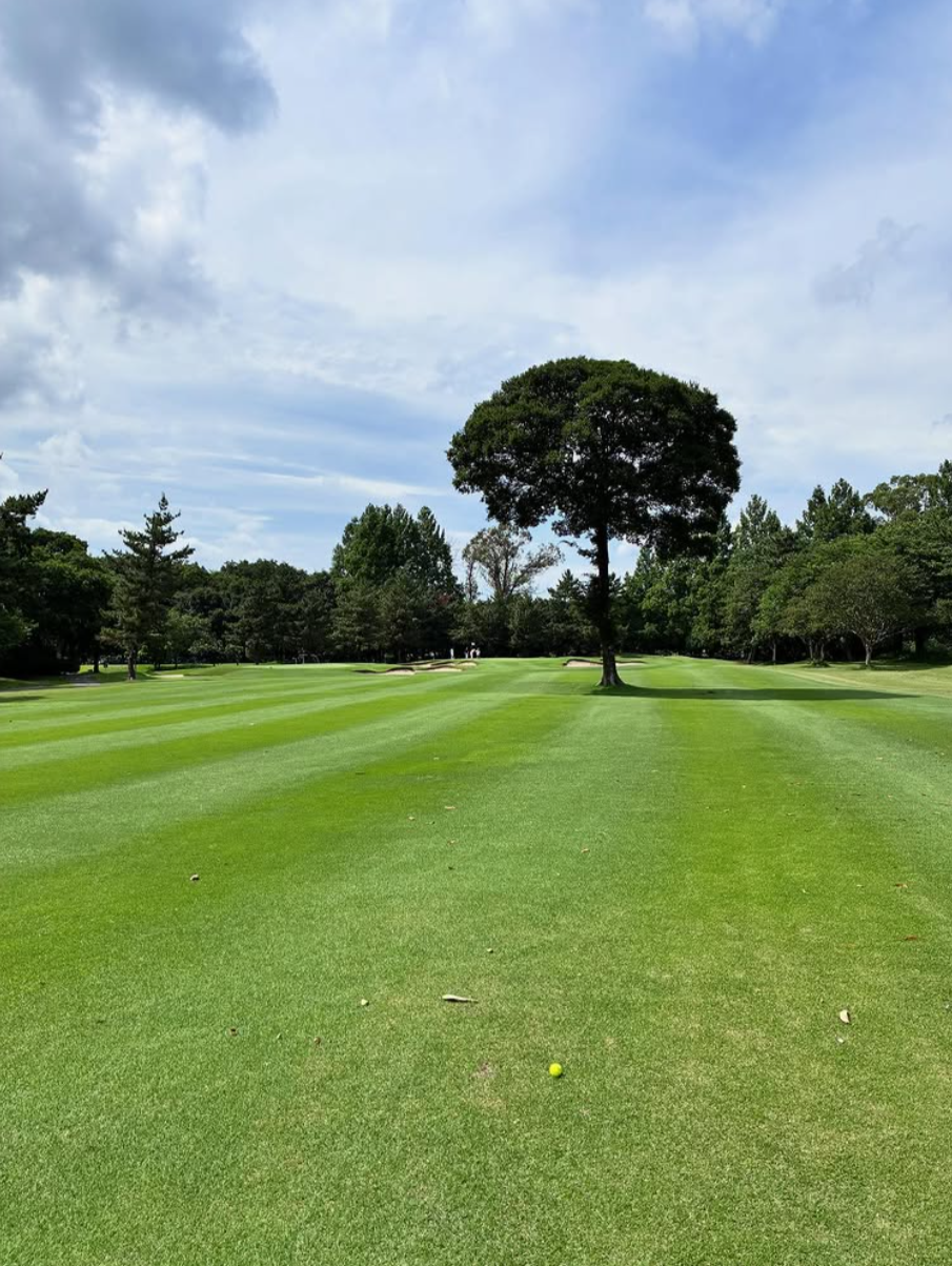 Images VZONEGOLF