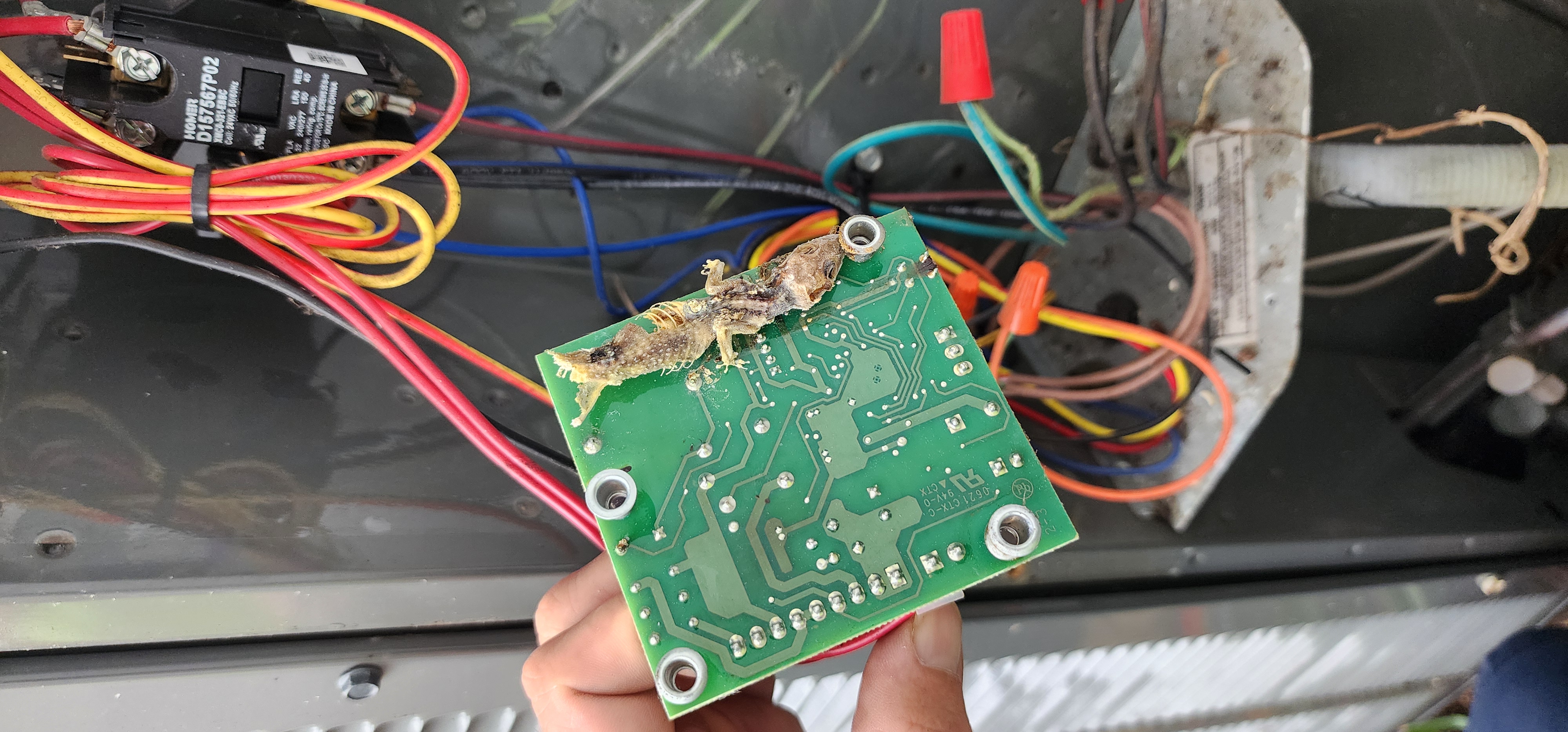 cause of a lot of shorts