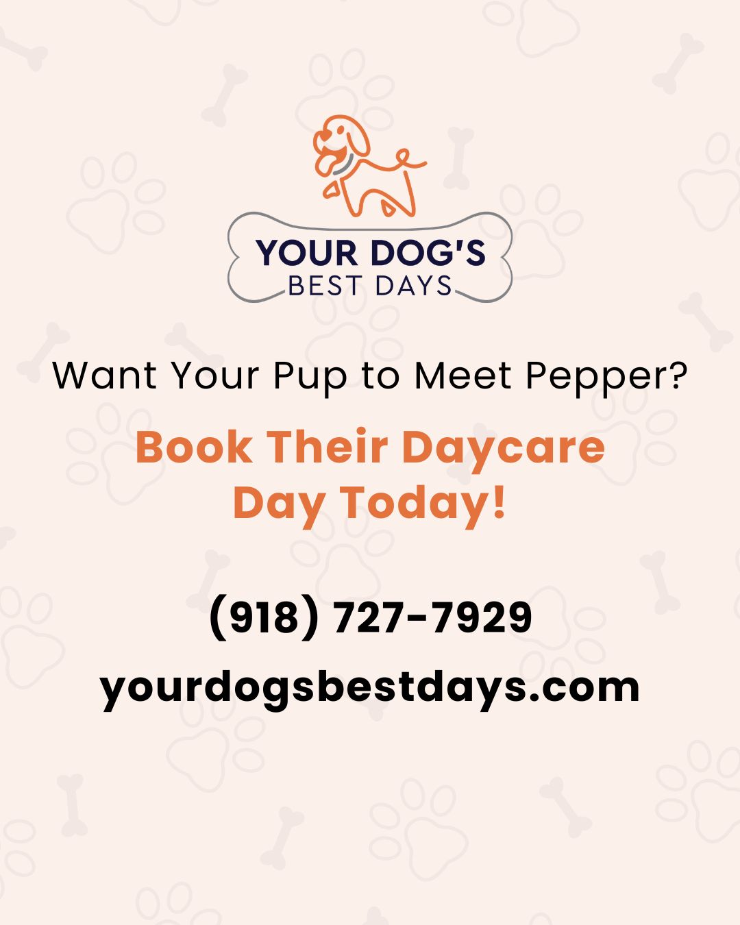 Your Dog’s Best Days branded post encouraging pet owners to book dog daycare with contact details.