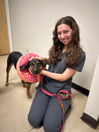 Images VCA Morris Plains Animal Hospital