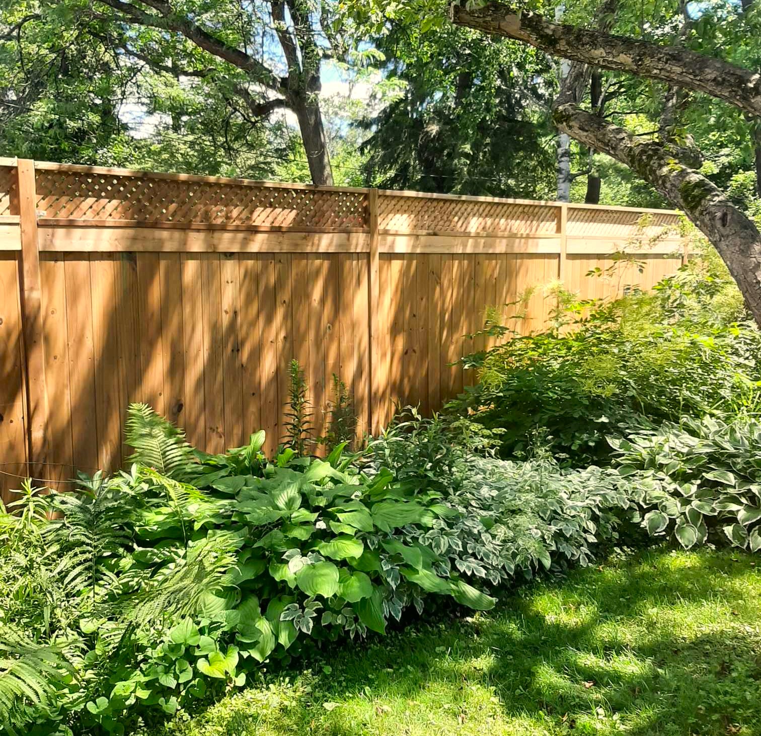 Images Rejuvenation Renovations