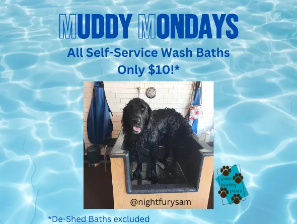 Image of Local Pet Event Muddy Mondays - $10 Self Service Dog Wash Nearby