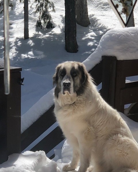 Spring is here, and it&rsquo;s the perfect time to check your insurance and get everything in order. Call or stop by to discuss your options or request a quote. Our team is ready to assist you for the season ahead.