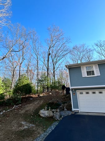 Images Joe's Tree Service, LLC