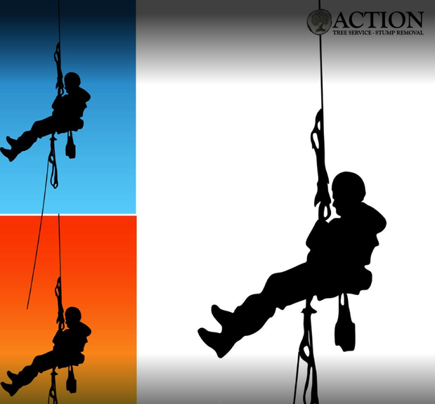 Images Action Tree Service