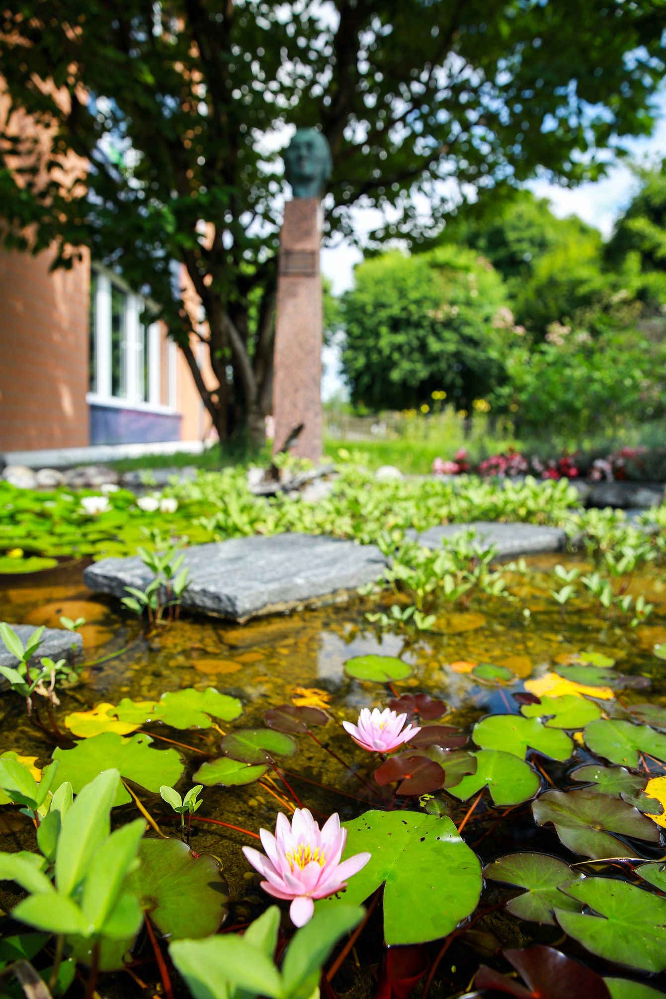 Bilder SHI Haus der Homöopathie