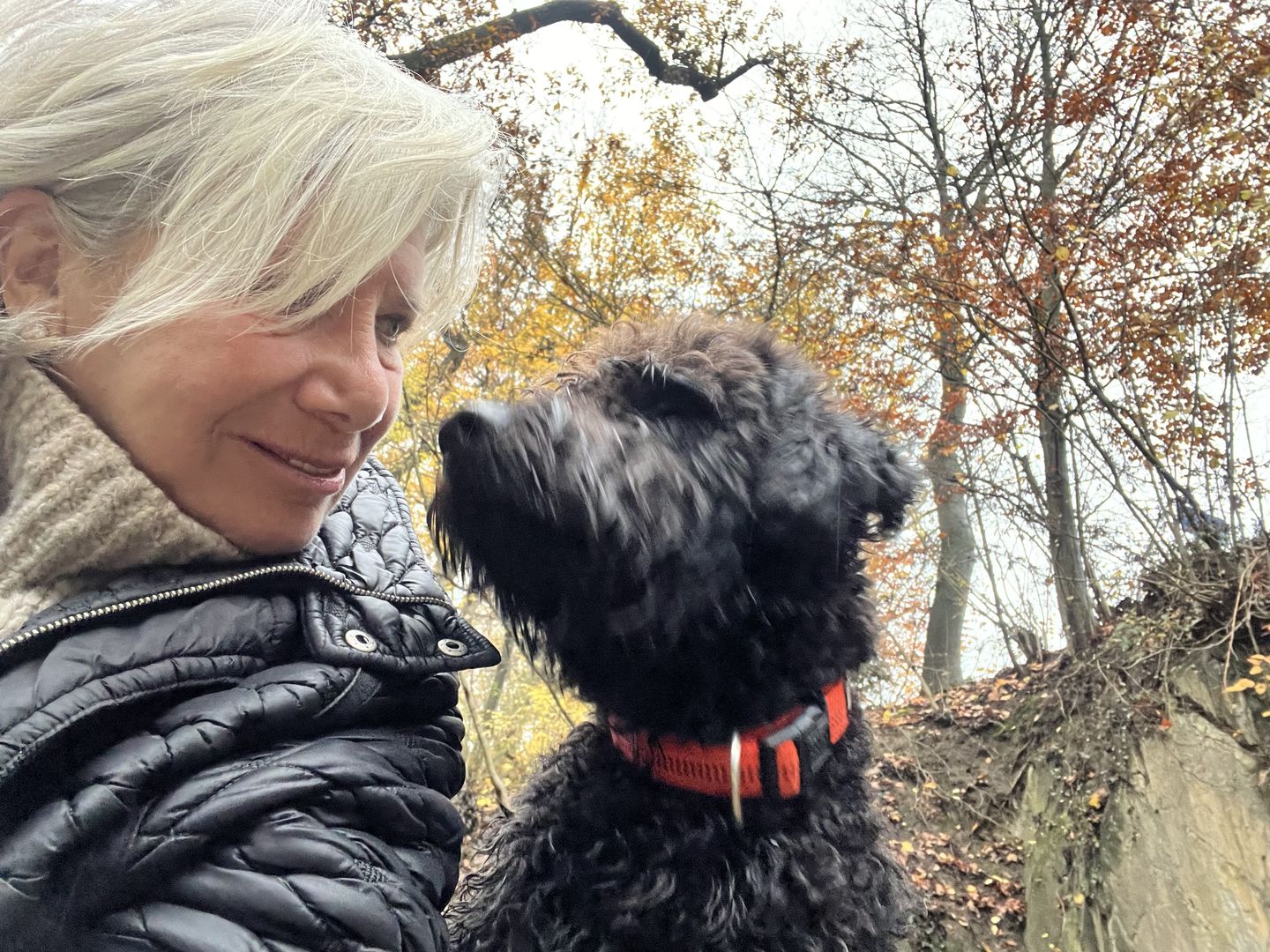 Neue Wege Hypnose-Therapie-Entspannung, Stiftstr. 24 in Wülfrath