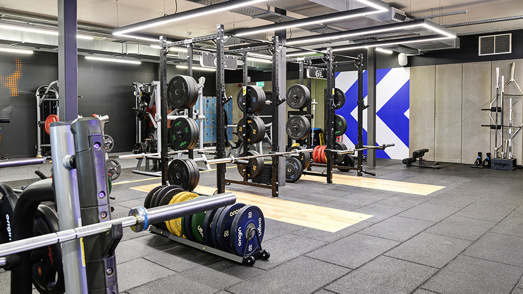 Free Weights Area
